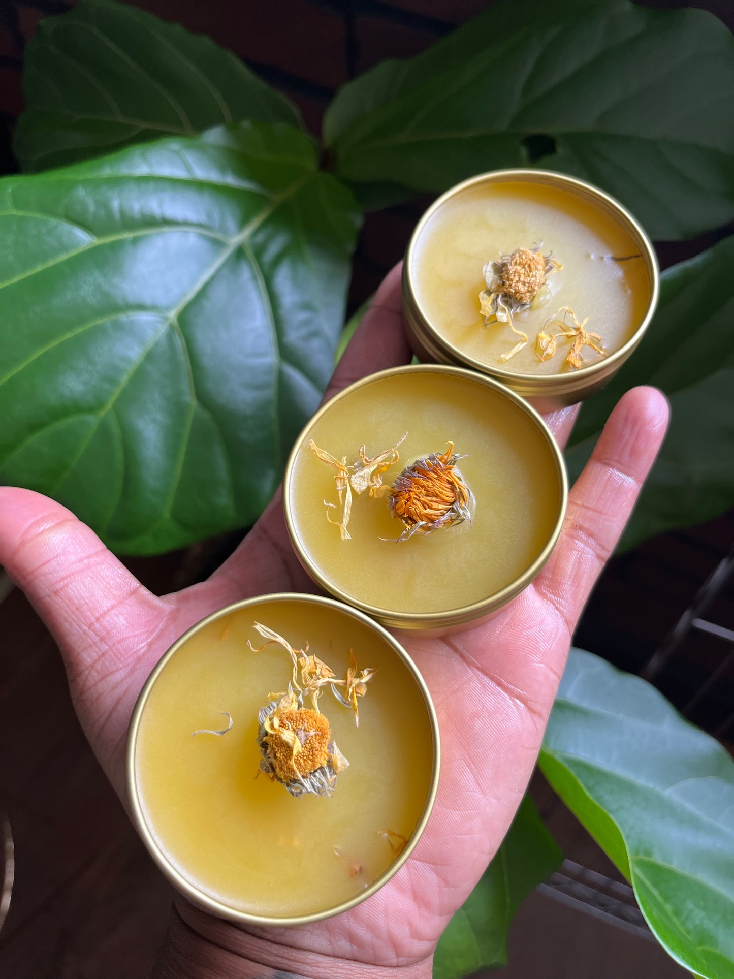 Eczema Balm (Peppermint Infused)